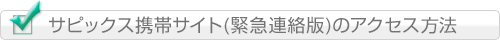 �A�N�Z�X���@�i�ʏ�Łj