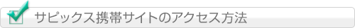 �A�N�Z�X���@�i�ً}�A���Łj