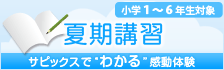 夏期講習