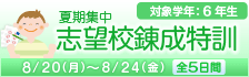 夏期集中志望校錬成特訓