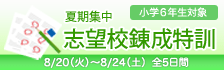 夏期集中志望校錬成特訓