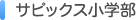 �T�s�b�N�X���w��