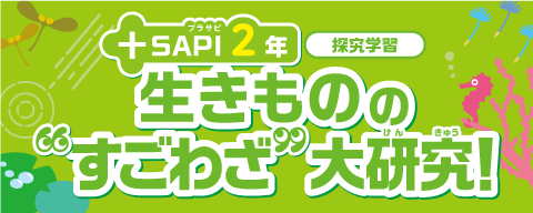+SAPI2�N�T���w�K��������