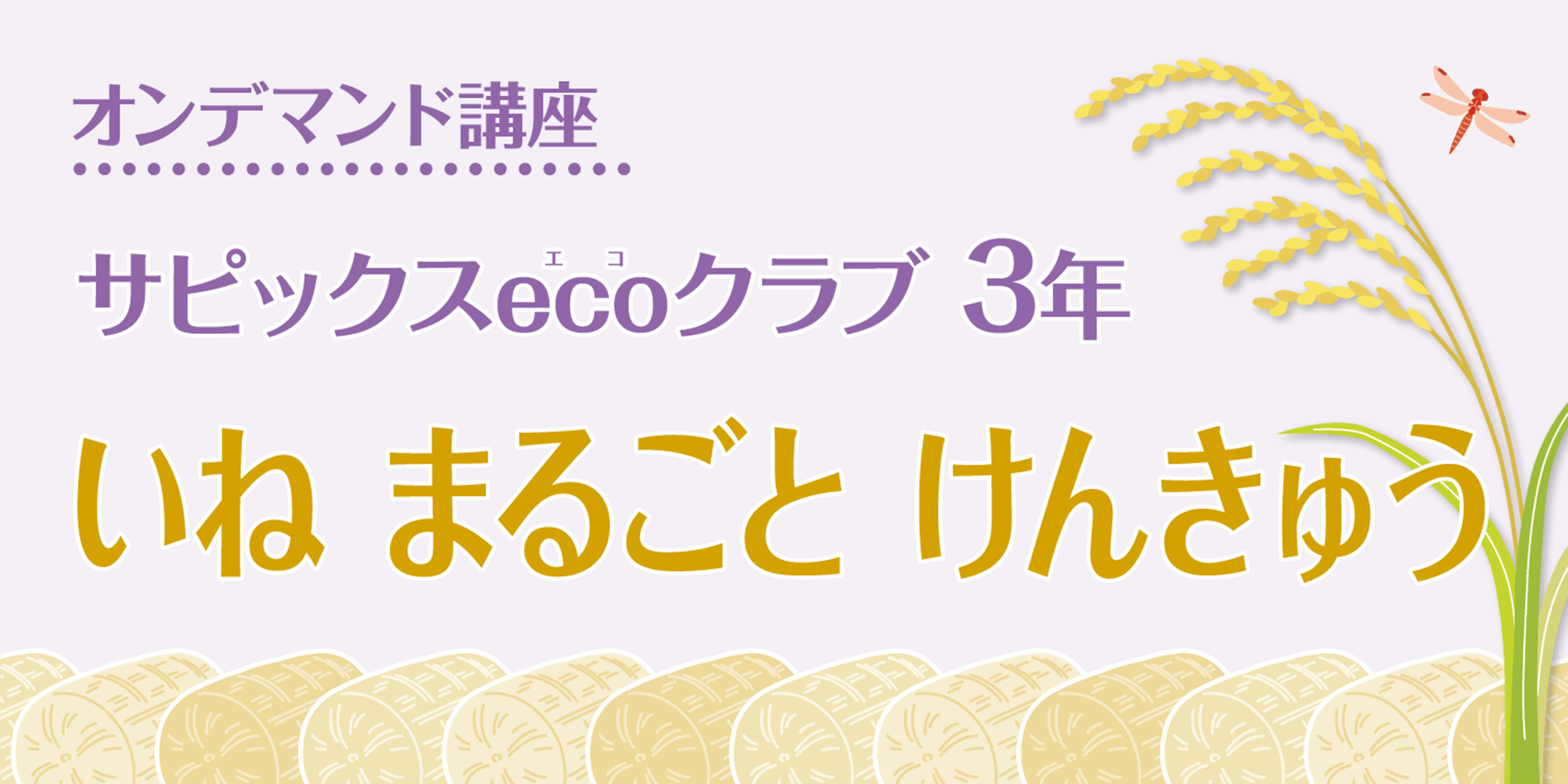 Sapix小学部 Sapixの環境講座 環境教育講座のご案内 環境教育講座3年生 いねって すごい