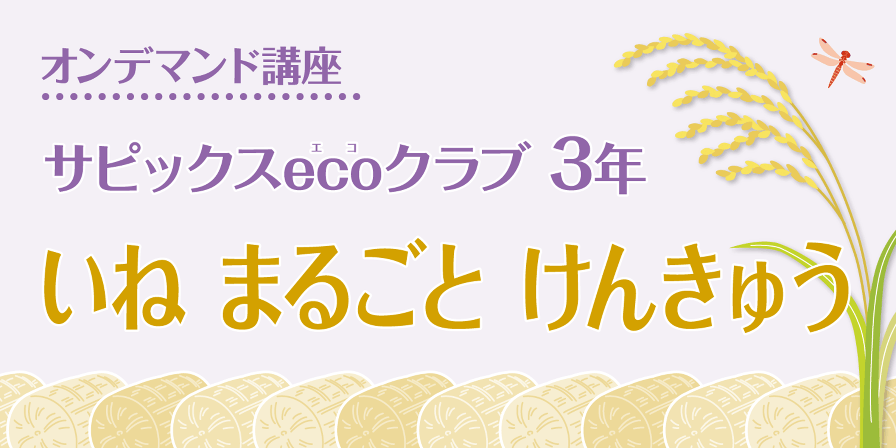  いね　まるごと　けんきゅう