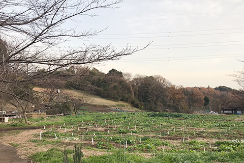 里山の見学・体験_A