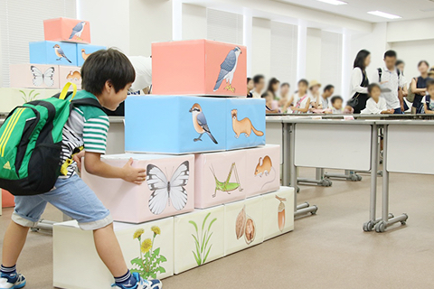いきものピラミッドづくり
