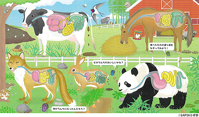 SAPIX小学部 | Sサプリメント | 【教科】『動物のうんちを調べてみよう