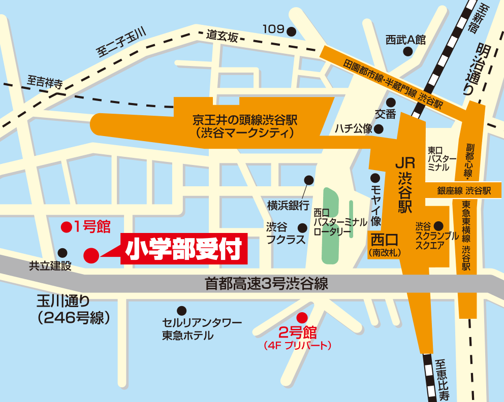 Sapix小学部 渋谷校